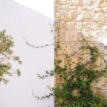 דירה Royal Luxury Homes